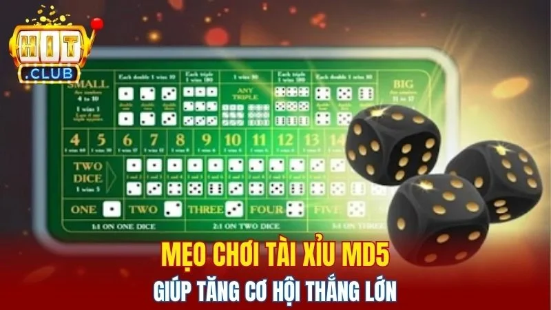 Cách đánh tài xỉu MD5 hiệu quả nhờ phân tích và chiến lược